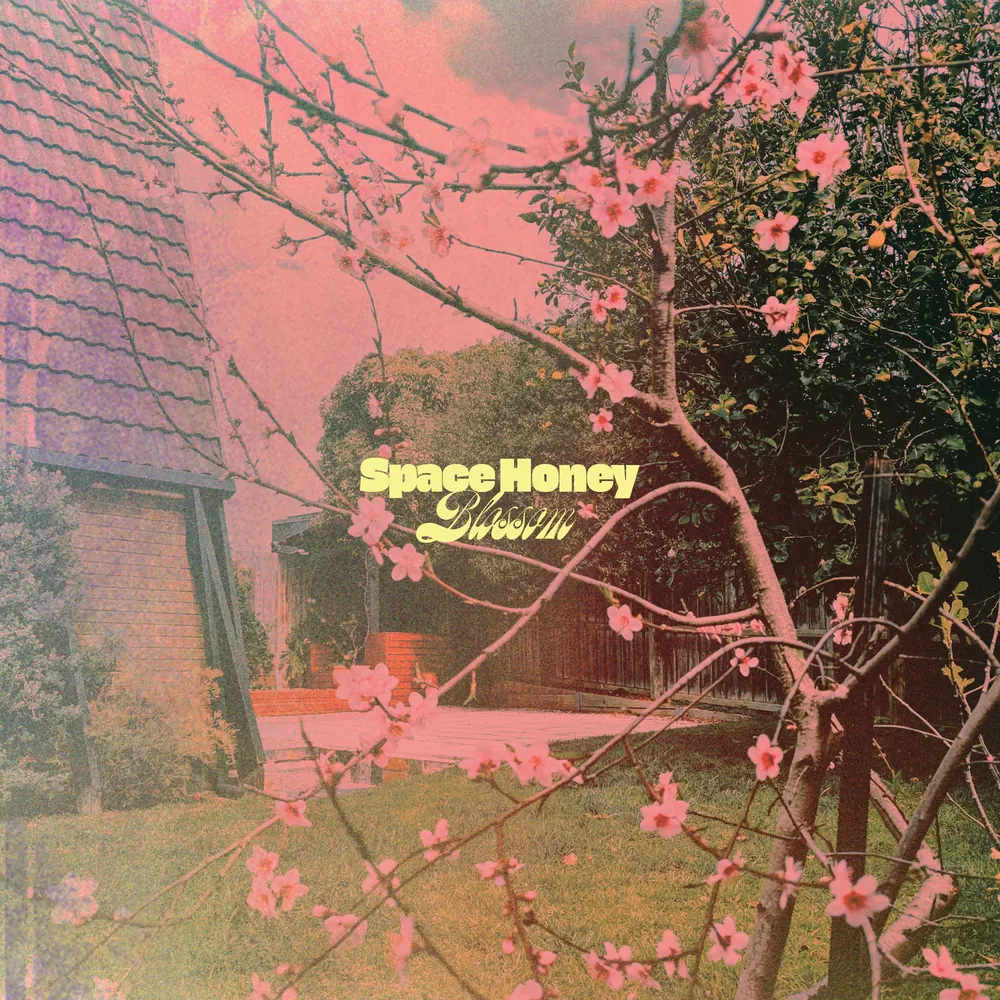 Space Honey